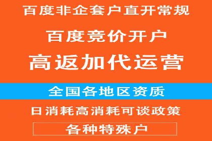 百度竞价广告运营实战：创意与执行的完美结合